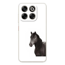 Чехлы с Лошадью дляZTE Nubia V70 (VPrint) (Черный Конь)