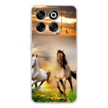 Чехлы с Лошадью дляZTE Nubia V70 (VPrint) (Лошадки)