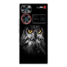 Чехлы с принтом СОВЫ для ZTE Nubia Z60 Ultra – Сова на чёрном