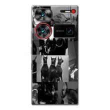 Чохол ДОБЕРМАН  для ZTE Nubia Z60 Ultra – Колаж Доберман