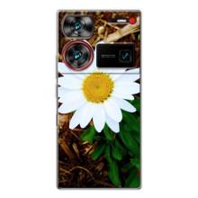 Чохол з ромашками на ZTE Nubia Z60 Ultra – Біла ромашка