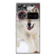 Чехол с Волком на ZTE Nubia Z60 Ultra – Волк на снегу