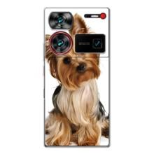 Чехол (ТПУ) Милые собачки для ZTE Nubia Z60 Ultra – Собака Терьер
