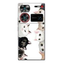 Силиконовый чехол с котиком для ZTE Nubia Z60 Ultra – Коты