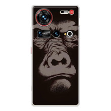 Чохли з Горилою на <td>ZTE Новіа Z70 Ultra </td> – Горила