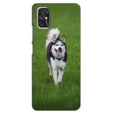 Чехол с Хаски для ZTE V2020 Smart - (AlphaPrint) (Радостный Хаски)