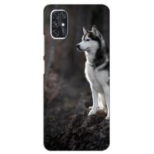 Чехол с Хаски для ZTE V2020 Smart - (AlphaPrint) (Верный пес)