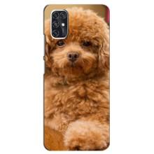Чехлы с собаками для ZTE V2020 Smart (VPrint) (Щенок Бишон)
