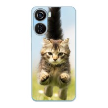 Чехлы с Котиками для ZTE V40 Design (VPrint) (Прыжок кота)