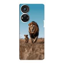 Чехол Король лев на ЗТЕ В40с – Мусафа и Симба