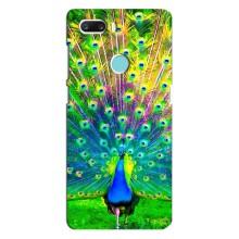 Чехол с птицами на ZTE Z18 Mini (VPrint) (Яркий Павлин)