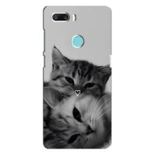 Чохол з малюнком кіт на ZTE Z18 Mini – Пара котів