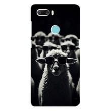 Чохол з принтом стильні тварини для ЗТЕ З18 Міні – Овечка в окулярах