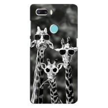 Силиконовый чехол с КАРТИНКАМИ лето для ZTE Z18 Mini (AlphaPrint) (Жирафы в очках)